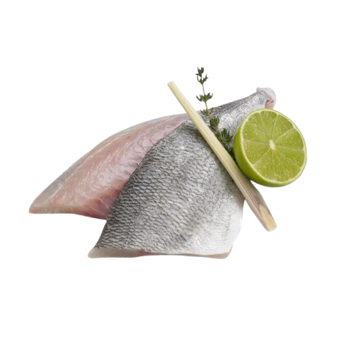 Fish Fillet Tzipura/Denis (1 Fish 300-400gr)