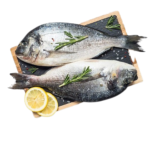 Fish Tzipura/Denis (1 Fish 300-400gr)